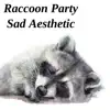 Sad Aesthetic - Raccoon Party - Single